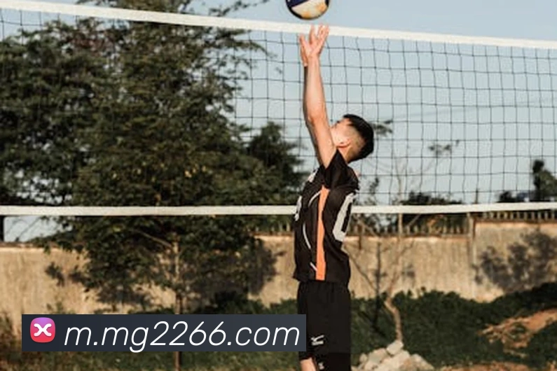 MG娱乐平台官网品牌故事