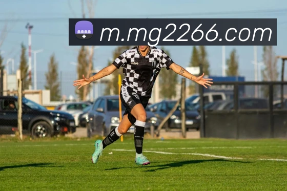 MG娱乐平台官网APP 体育赛事宣传图